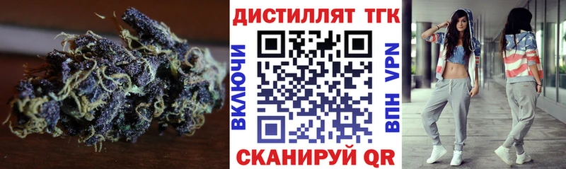площадка состав  Невинномысск  ТГК концентрат 