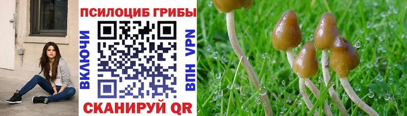 Псилоцибиновые грибы мухоморы  наркота  Невинномысск 